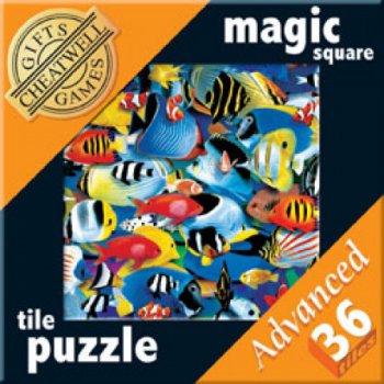 Magic Square Puzzles (36)